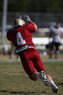 爱游戏app活动-德甲球队视频分析辅助防守站位调整的实证研究，德甲防守最好的球队